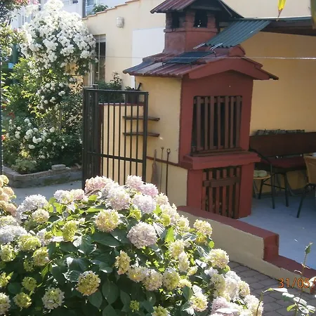 Simeone * Zára